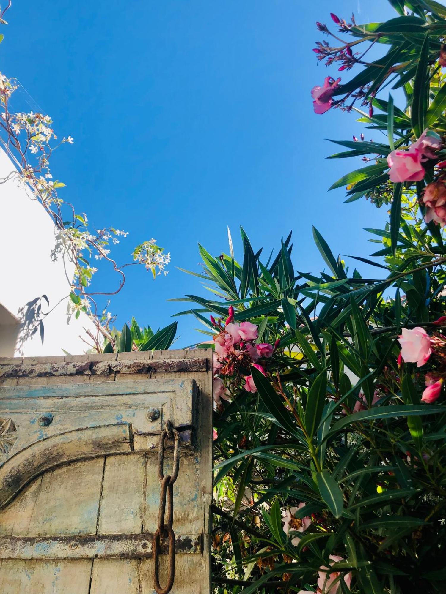 莱斯波特斯Le Jardin Des Portes住宿加早餐旅馆 外观 照片